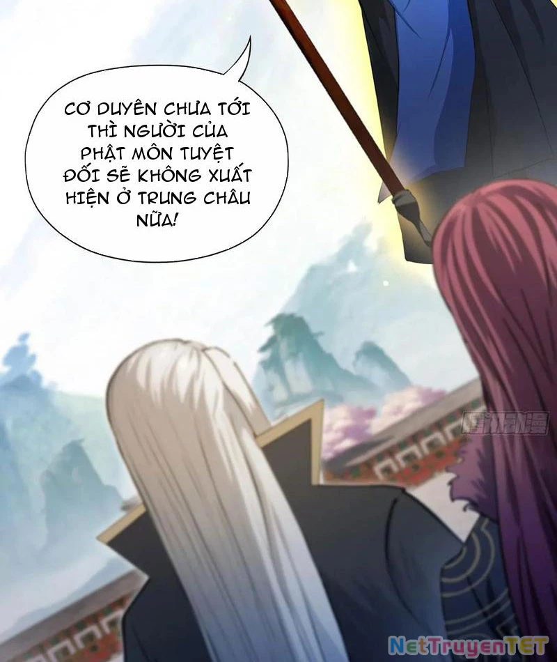 Hoá Ra Ta Đã Vô Địch Từ Lâu Chapter 244 - Trang 4