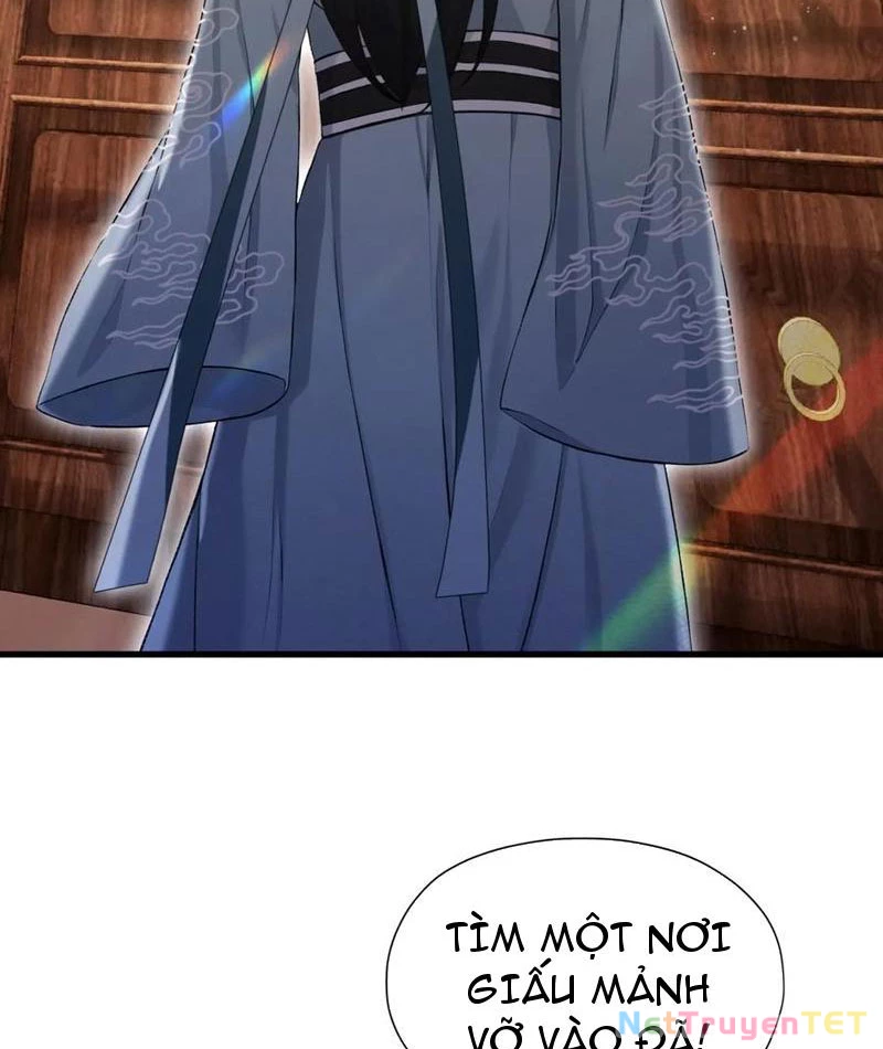 Hoá Ra Ta Đã Vô Địch Từ Lâu Chapter 245 - Trang 4