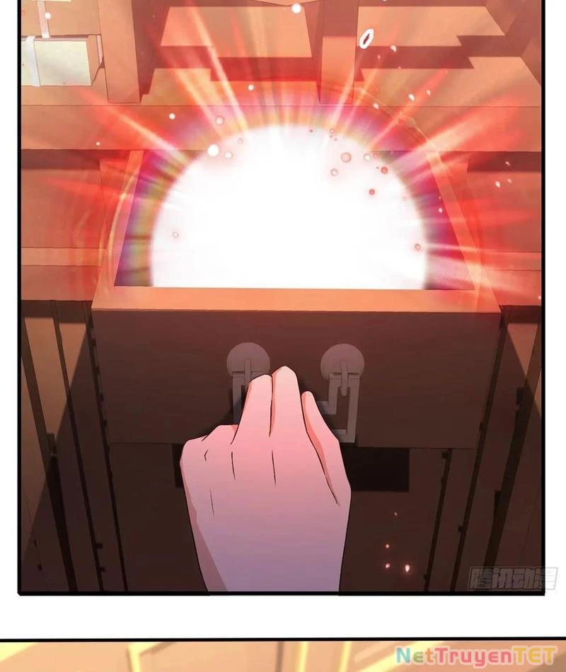 Hoá Ra Ta Đã Vô Địch Từ Lâu Chapter 245 - Trang 4