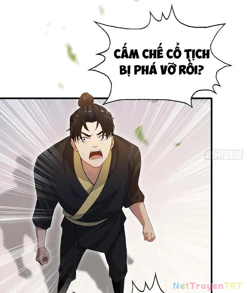 Hoá Ra Ta Đã Vô Địch Từ Lâu Chapter 245 - Trang 4