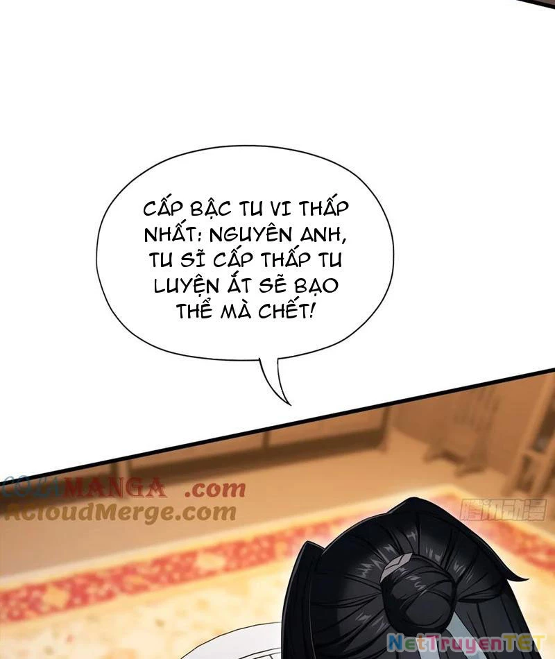 Hoá Ra Ta Đã Vô Địch Từ Lâu Chapter 246 - Trang 4