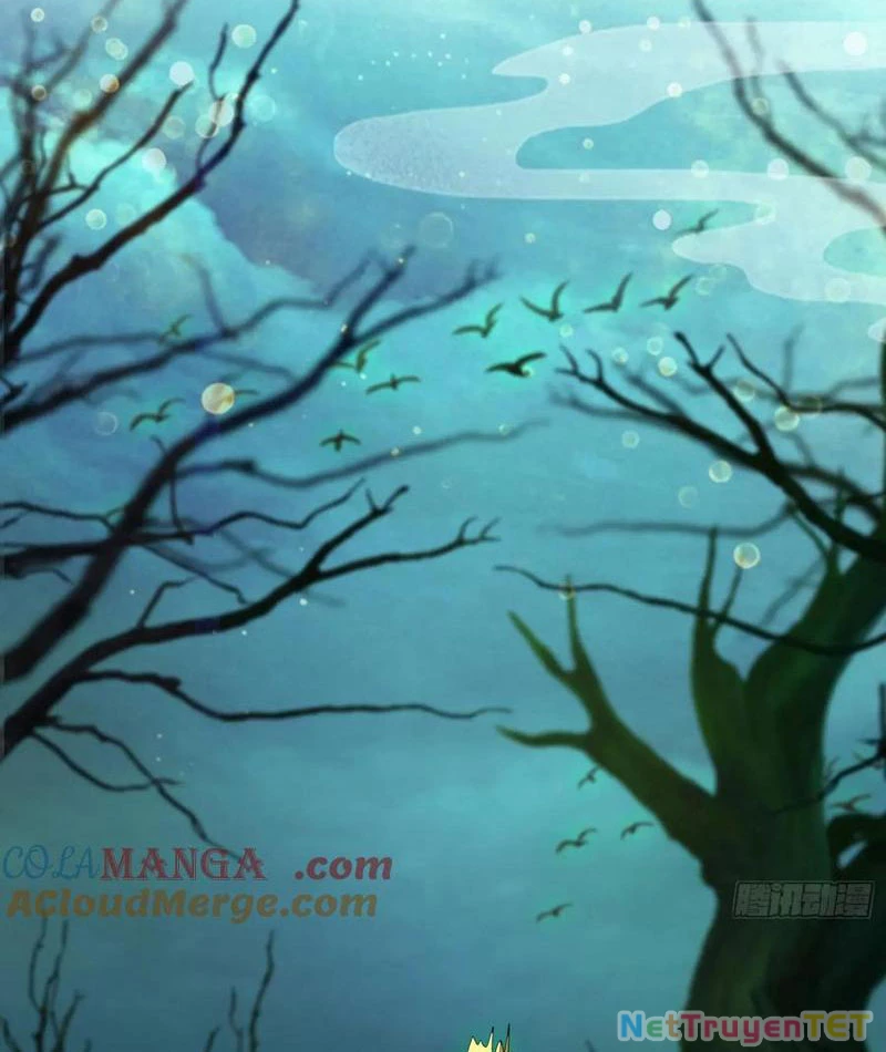 Hoá Ra Ta Đã Vô Địch Từ Lâu Chapter 246 - Trang 4