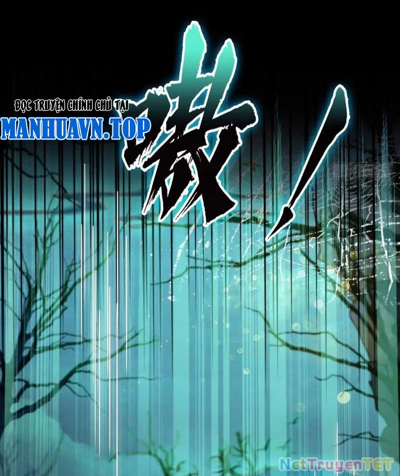 Hoá Ra Ta Đã Vô Địch Từ Lâu Chapter 246 - Trang 4