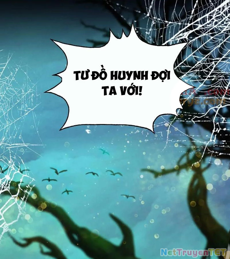 Hoá Ra Ta Đã Vô Địch Từ Lâu Chapter 246 - Trang 4