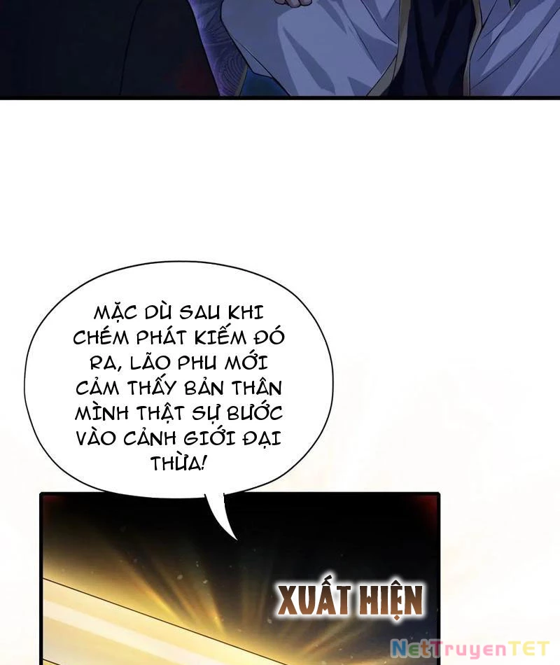 Hoá Ra Ta Đã Vô Địch Từ Lâu Chapter 246 - Trang 4