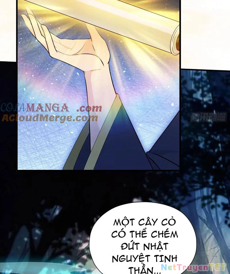 Hoá Ra Ta Đã Vô Địch Từ Lâu Chapter 246 - Trang 4