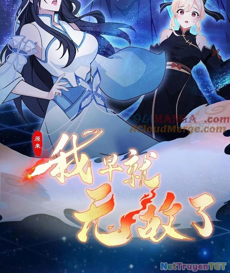 Hoá Ra Ta Đã Vô Địch Từ Lâu Chapter 247 - Trang 4
