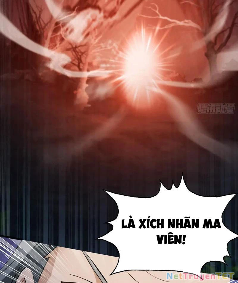 Hoá Ra Ta Đã Vô Địch Từ Lâu Chapter 247 - Trang 4