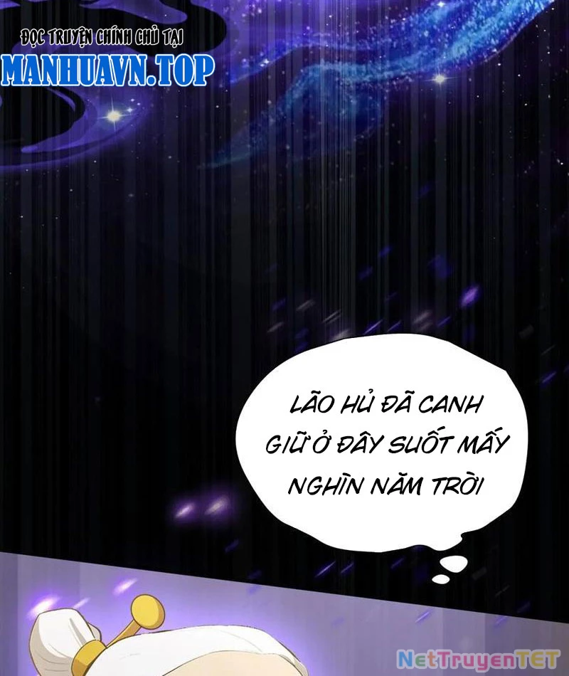 Hoá Ra Ta Đã Vô Địch Từ Lâu Chapter 247 - Trang 4