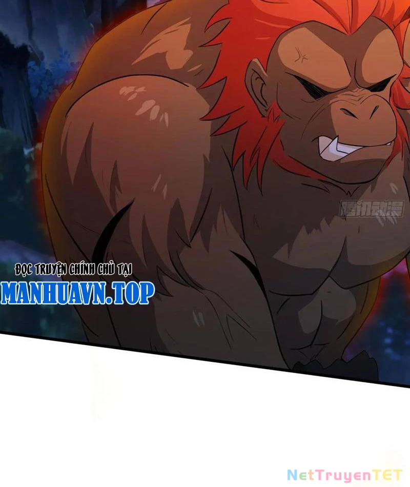 Hoá Ra Ta Đã Vô Địch Từ Lâu Chapter 247 - Trang 4