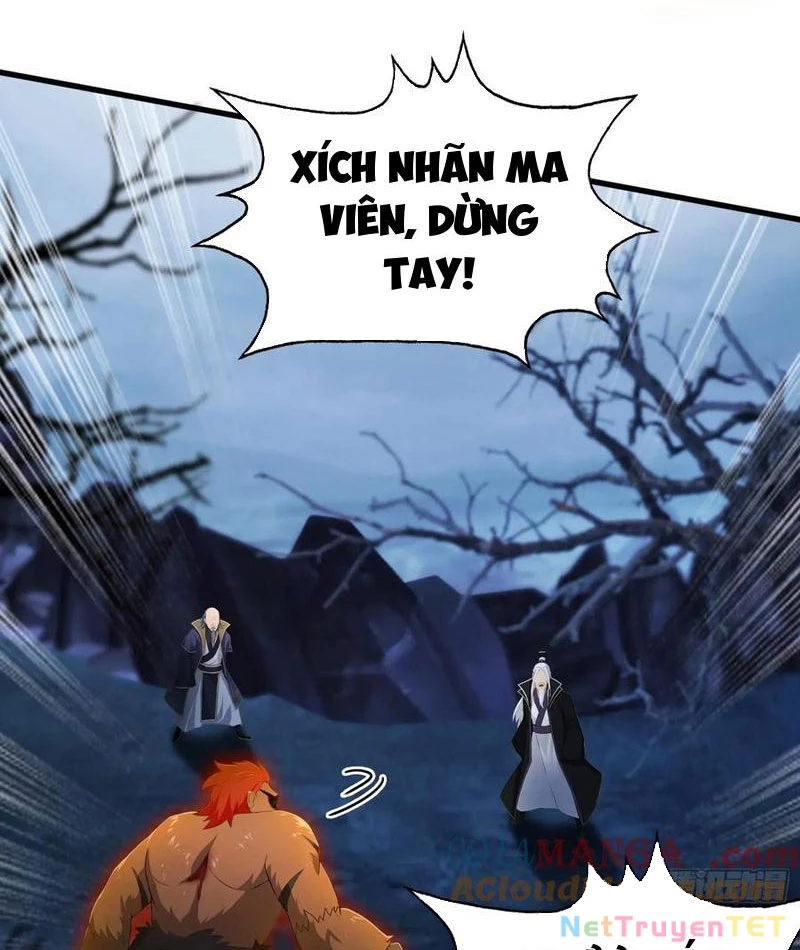 Hoá Ra Ta Đã Vô Địch Từ Lâu Chapter 247 - Trang 4