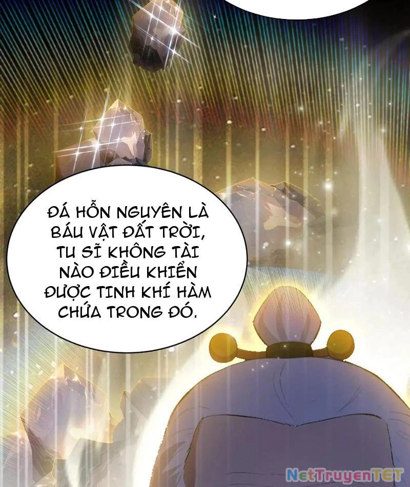 Hoá Ra Ta Đã Vô Địch Từ Lâu Chapter 247 - Trang 4