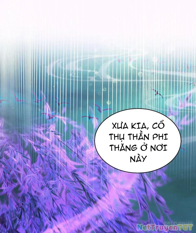Hoá Ra Ta Đã Vô Địch Từ Lâu Chapter 247 - Trang 4