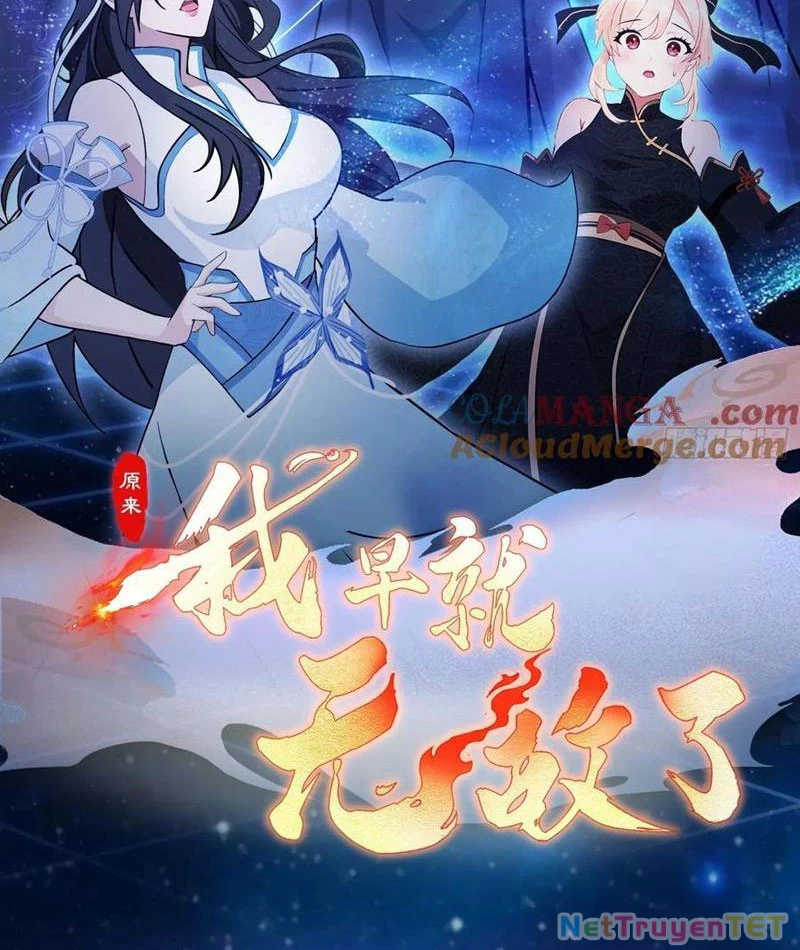 Hoá Ra Ta Đã Vô Địch Từ Lâu Chapter 248 - Trang 4