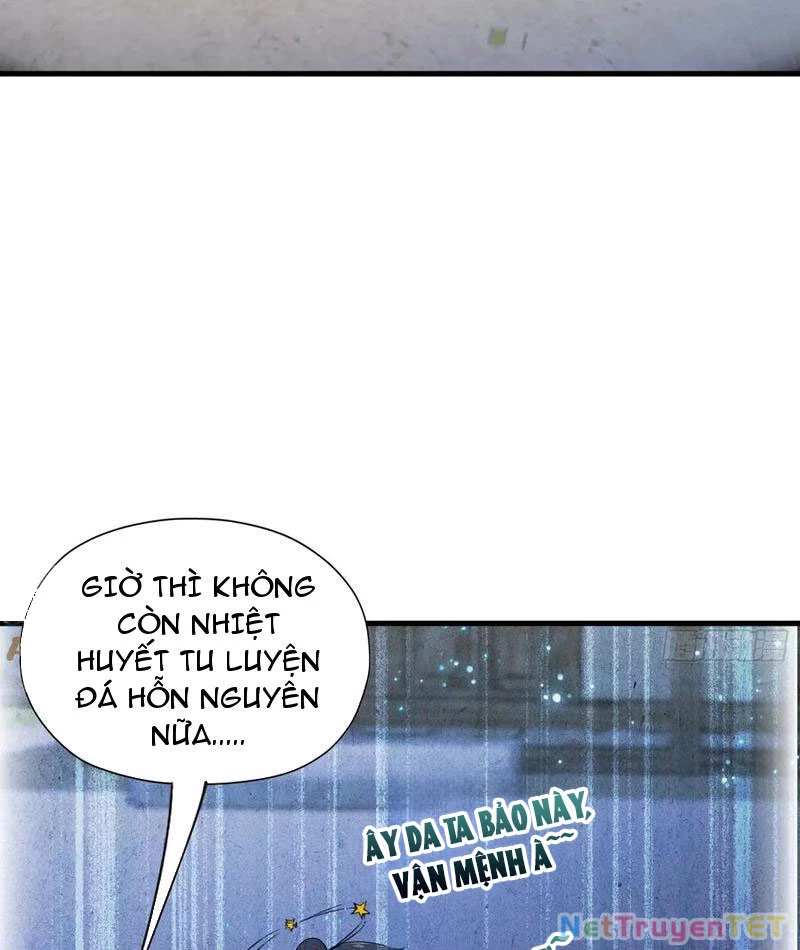 Hoá Ra Ta Đã Vô Địch Từ Lâu Chapter 248 - Trang 4