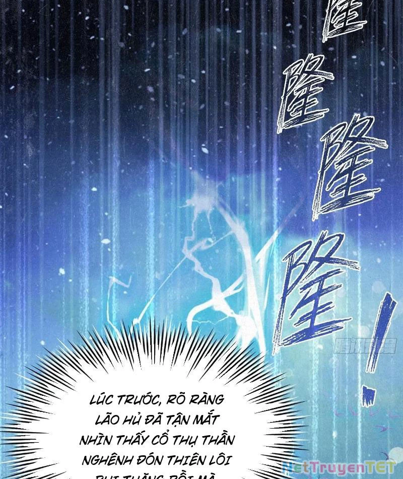 Hoá Ra Ta Đã Vô Địch Từ Lâu Chapter 248 - Trang 4