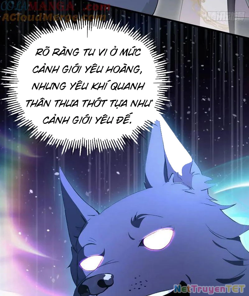 Hoá Ra Ta Đã Vô Địch Từ Lâu Chapter 248 - Trang 4