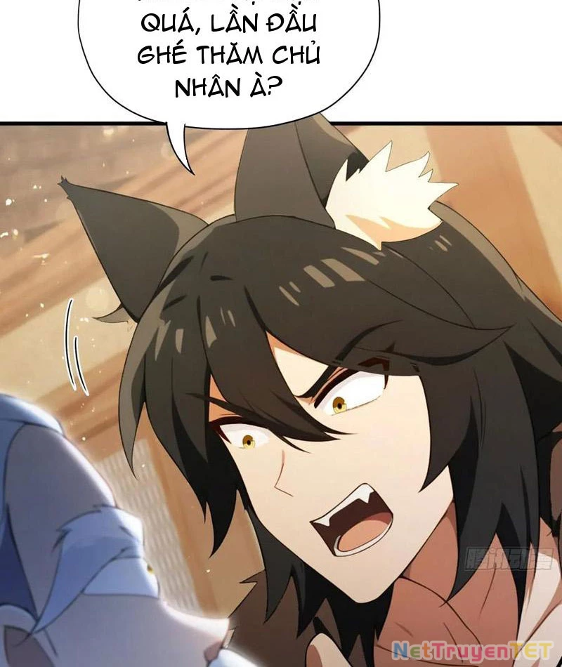Hoá Ra Ta Đã Vô Địch Từ Lâu Chapter 249 - Trang 4