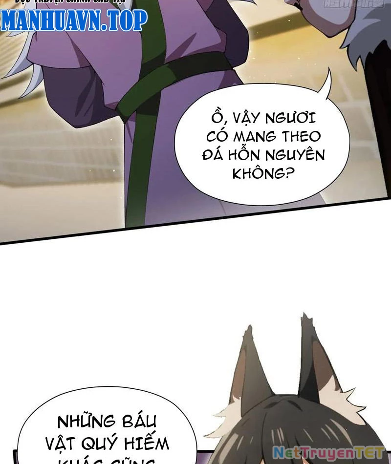 Hoá Ra Ta Đã Vô Địch Từ Lâu Chapter 249 - Trang 4