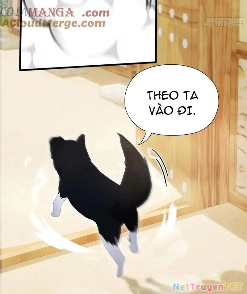 Hoá Ra Ta Đã Vô Địch Từ Lâu Chapter 249 - Trang 4