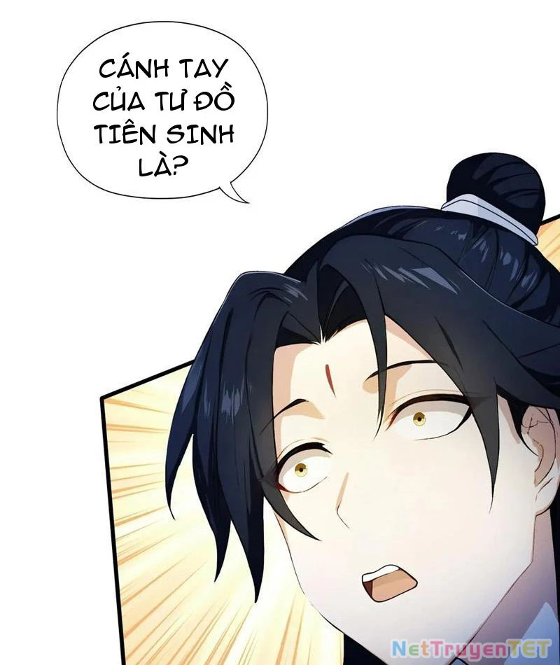 Hoá Ra Ta Đã Vô Địch Từ Lâu Chapter 249 - Trang 4