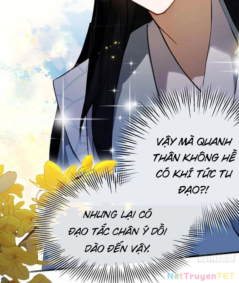 Hoá Ra Ta Đã Vô Địch Từ Lâu Chapter 249 - Trang 4
