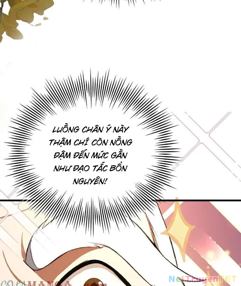 Hoá Ra Ta Đã Vô Địch Từ Lâu Chapter 249 - Trang 4