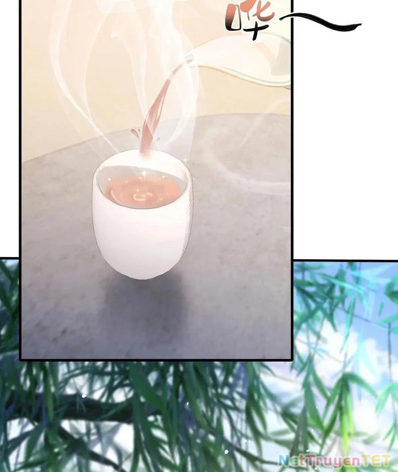 Hoá Ra Ta Đã Vô Địch Từ Lâu Chapter 249 - Trang 4