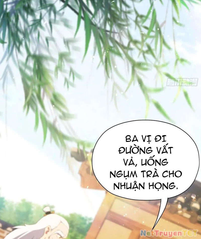 Hoá Ra Ta Đã Vô Địch Từ Lâu Chapter 249 - Trang 4