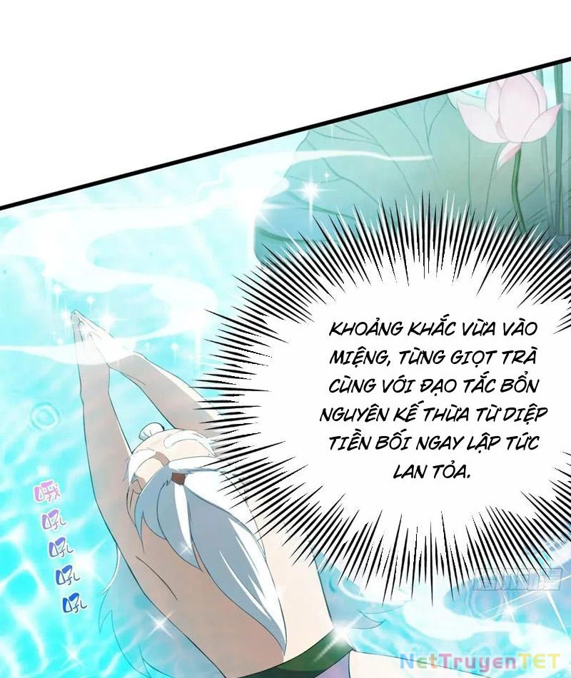 Hoá Ra Ta Đã Vô Địch Từ Lâu Chapter 249 - Trang 4