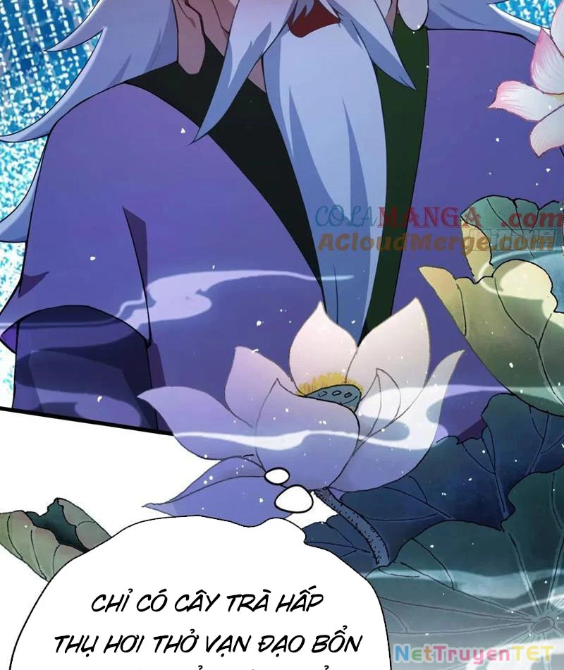 Hoá Ra Ta Đã Vô Địch Từ Lâu Chapter 249 - Trang 4