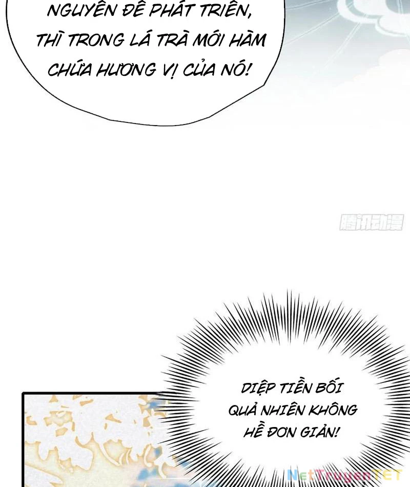 Hoá Ra Ta Đã Vô Địch Từ Lâu Chapter 249 - Trang 4