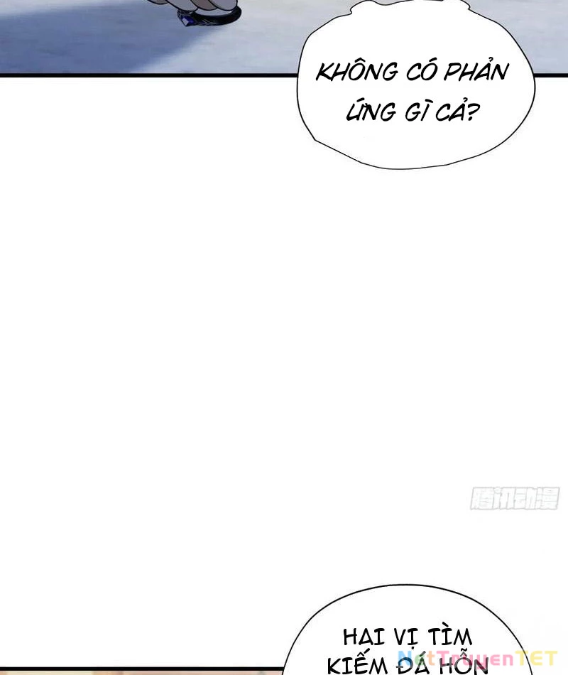 Hoá Ra Ta Đã Vô Địch Từ Lâu Chapter 249 - Trang 4