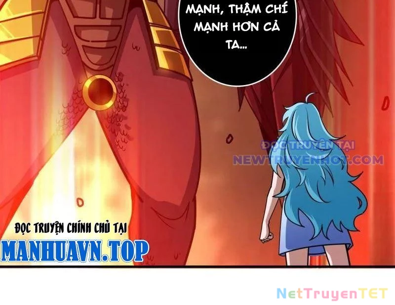 Vừa Chơi Đã Có Tài Khoản Vương Giả Chapter 503 - Trang 4