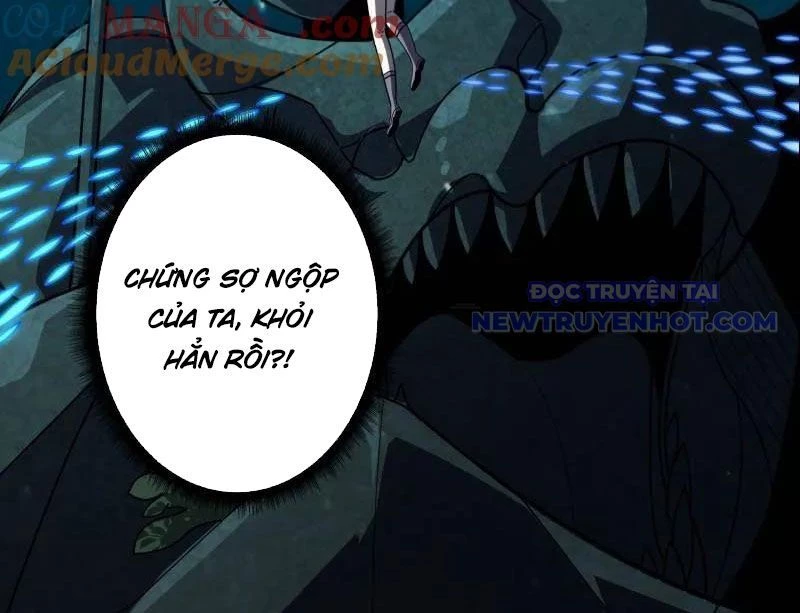 Vừa Chơi Đã Có Tài Khoản Vương Giả Chapter 503 - Trang 4