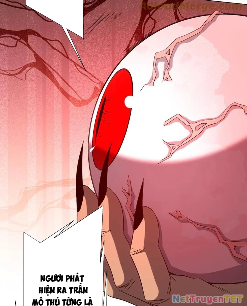 Bắt Đầu Với Trăm Vạn Minh Tệ Chapter 214 - Trang 4