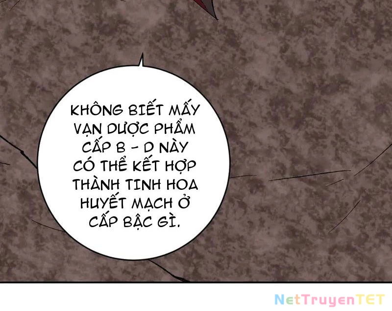 Mạt Nhật Thiên Hạ: Ta, Virus Quân Vương Chapter 51 - Trang 2