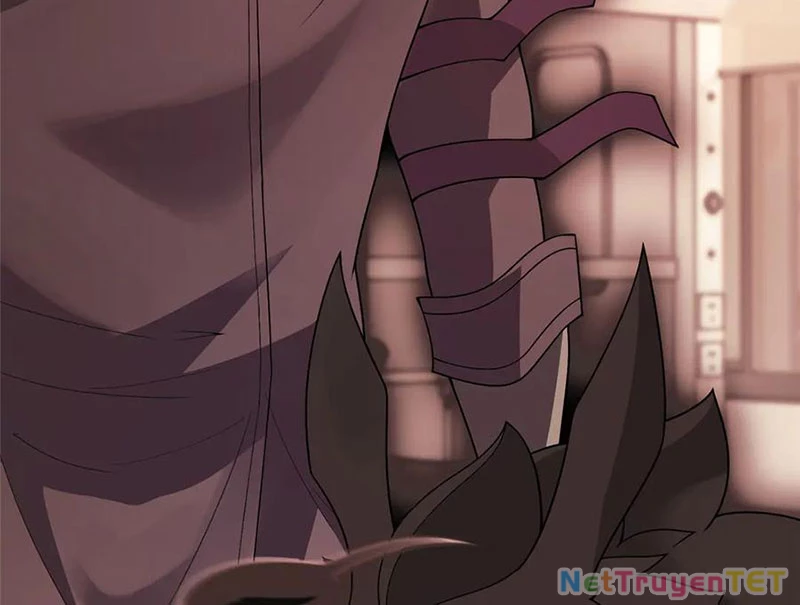 Thần Sủng Tiến Hóa Chapter 379 - Trang 4