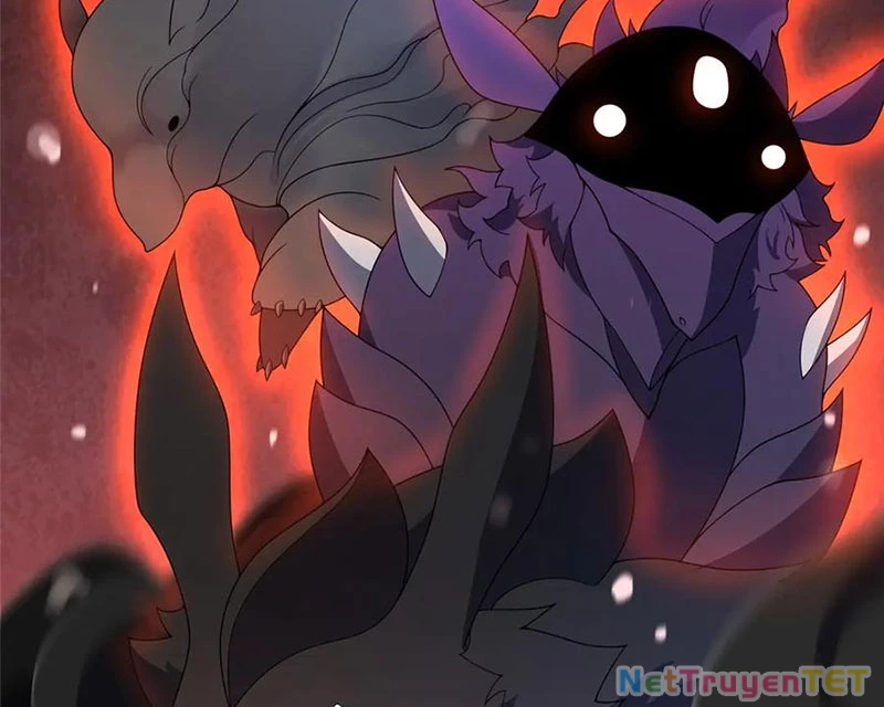 Thần Sủng Tiến Hóa Chapter 379 - Trang 4