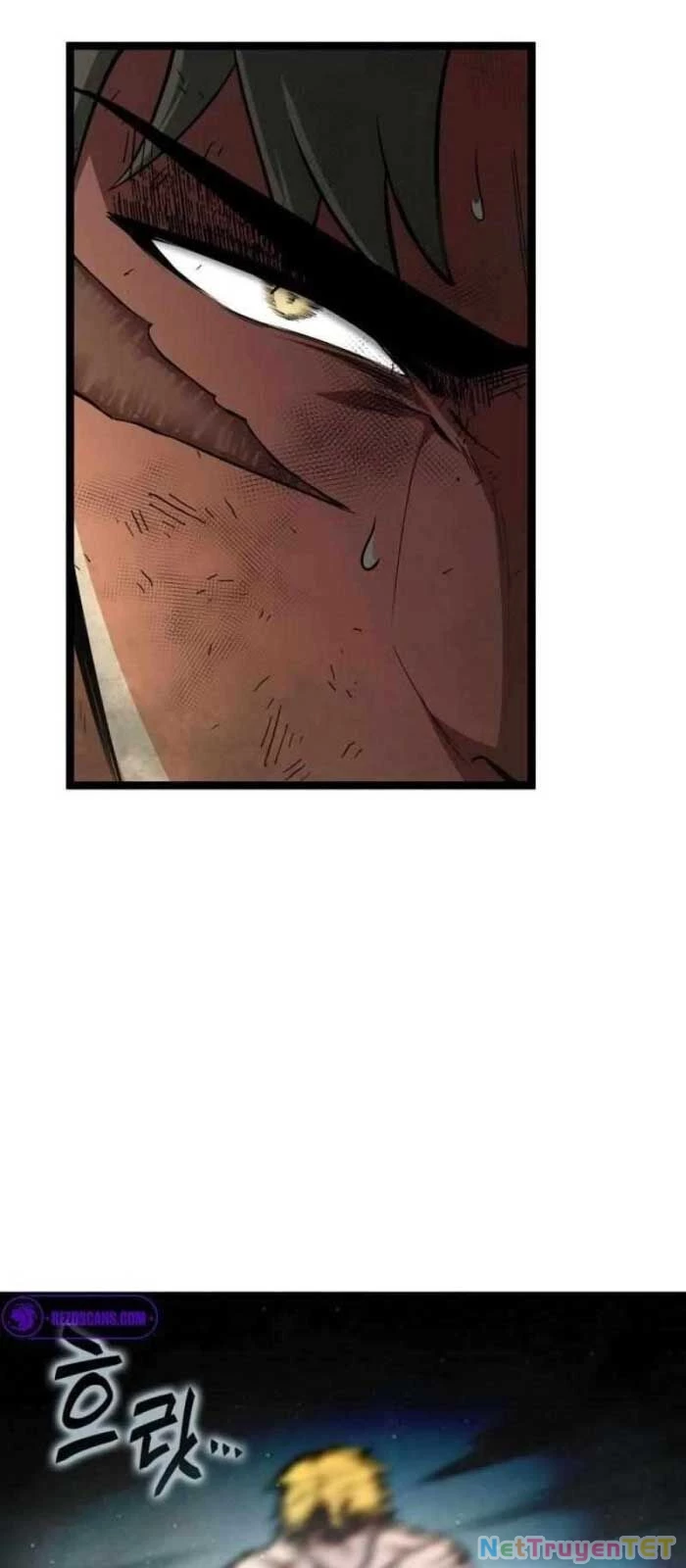 Nhà Vô Địch Kalli Chapter 98 - Trang 4