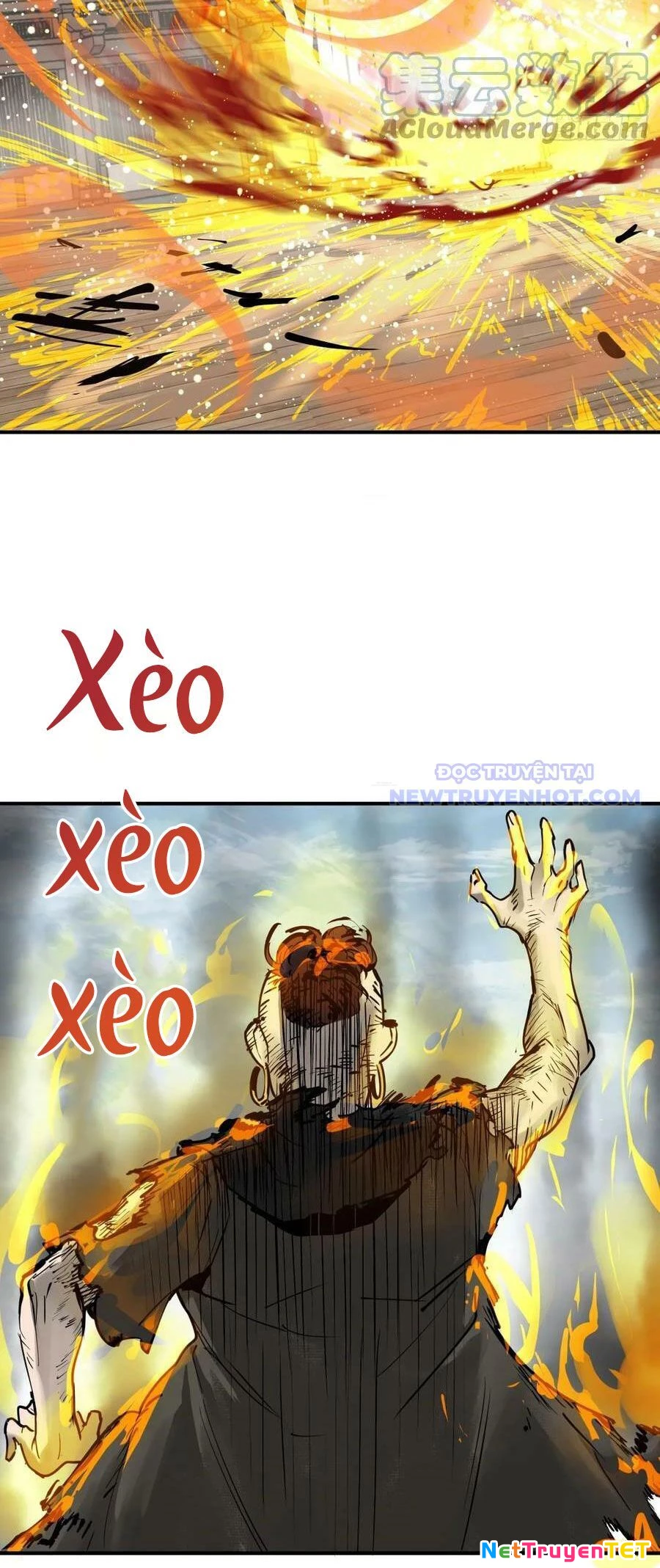 Xuyên Không Thành Chim Chapter 206 - Trang 2