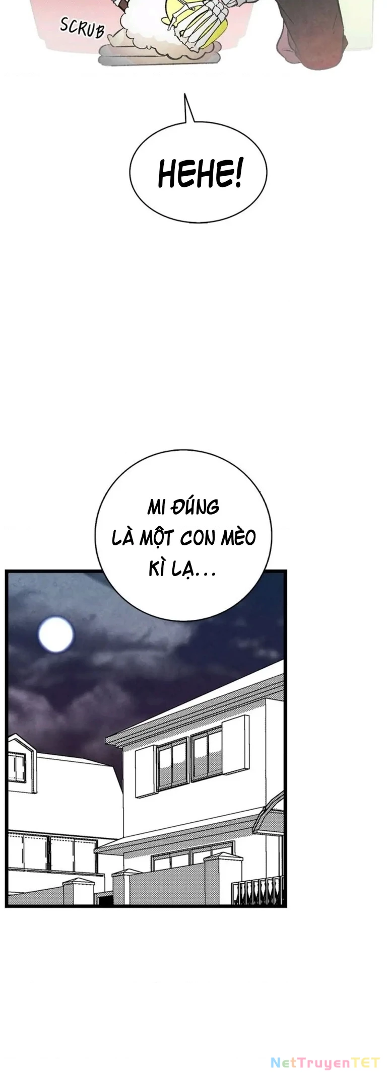 Mèo con của skelly Chapter 10 - Trang 2