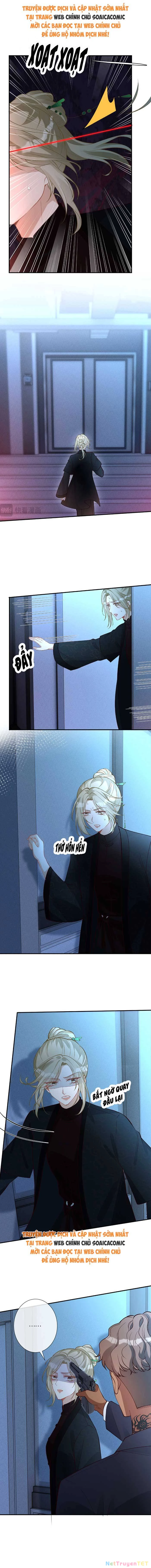 Ôm Khẩn Tiểu Mã Giáp Của Tôi Chapter 351 - Trang 4