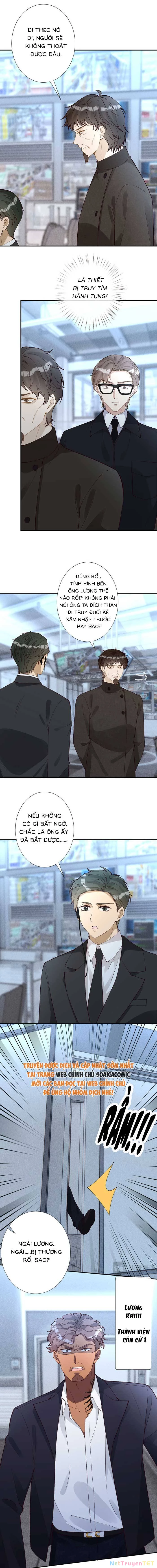 Ôm Khẩn Tiểu Mã Giáp Của Tôi Chapter 351 - Trang 4
