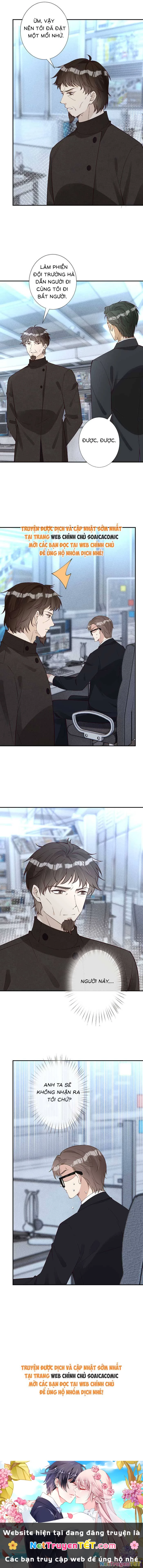 Ôm Khẩn Tiểu Mã Giáp Của Tôi Chapter 351 - Trang 4