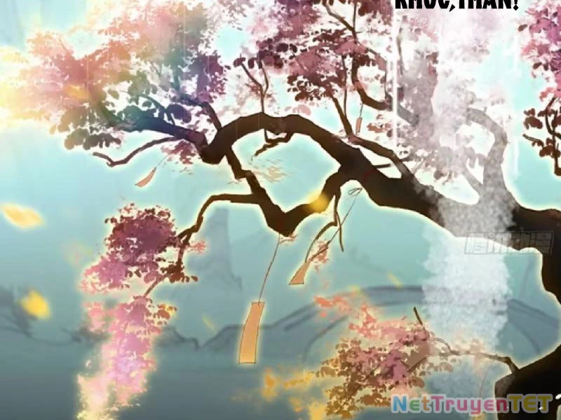 Hoá Ra Ta Đã Vô Địch Từ Lâu Chapter 251 - Trang 4