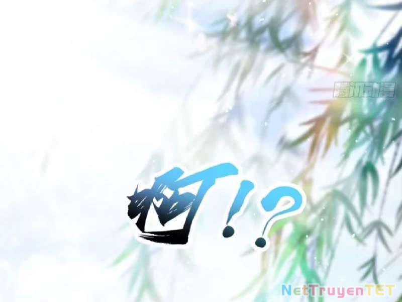 Hoá Ra Ta Đã Vô Địch Từ Lâu Chapter 251 - Trang 4