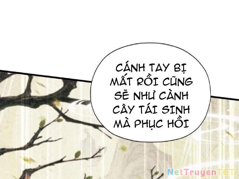 Hoá Ra Ta Đã Vô Địch Từ Lâu Chapter 251 - Trang 4