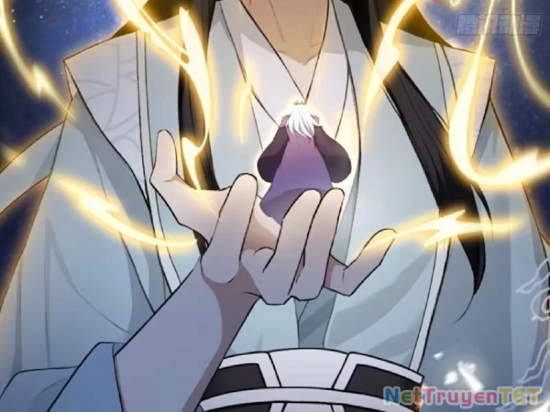 Hoá Ra Ta Đã Vô Địch Từ Lâu Chapter 251 - Trang 4