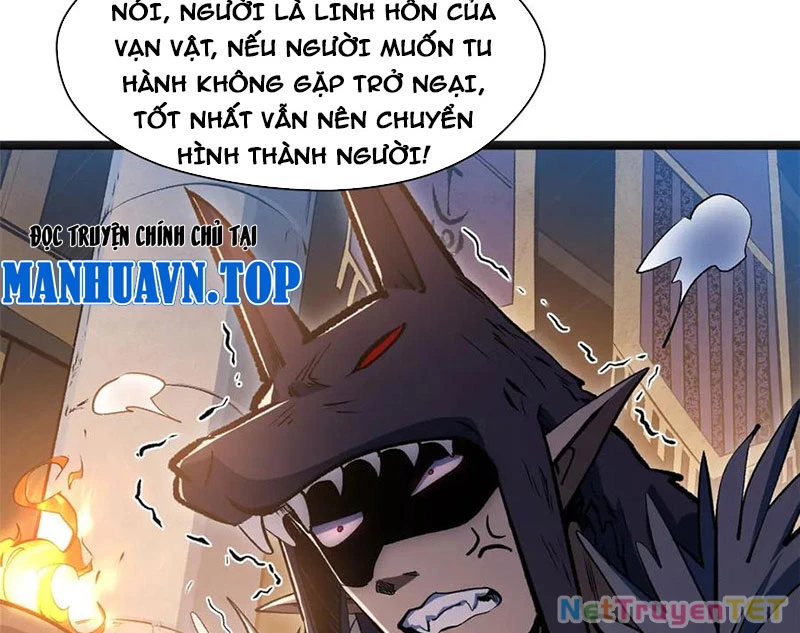 Đỉnh Cấp Khí Vận, Lặng Lẽ Tu Luyện Ngàn Năm Chapter 203 - Trang 2